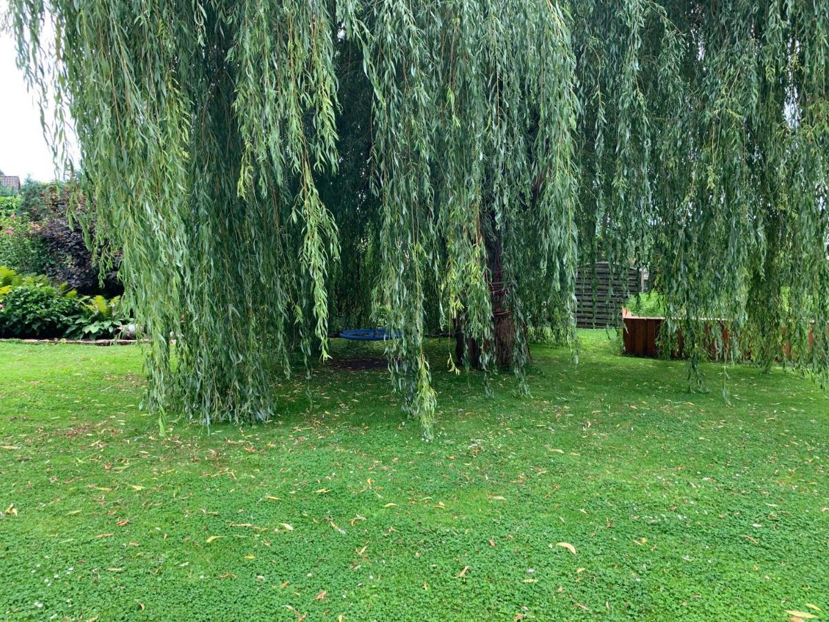 Gueneitzblick Appartement Clenze Buitenkant foto
